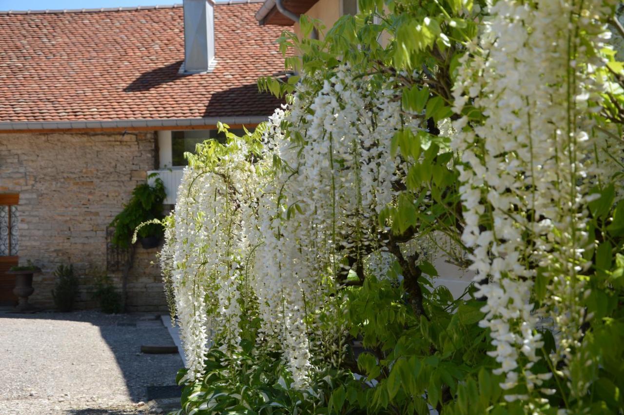 La Ferme Aux Glycines Hotel Aillevans ภายนอก รูปภาพ