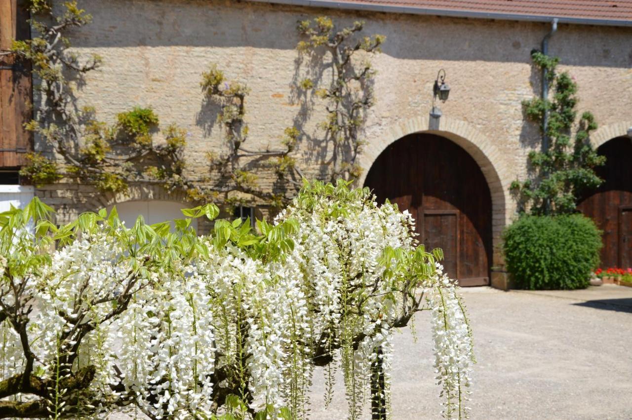 La Ferme Aux Glycines Hotel Aillevans ภายนอก รูปภาพ