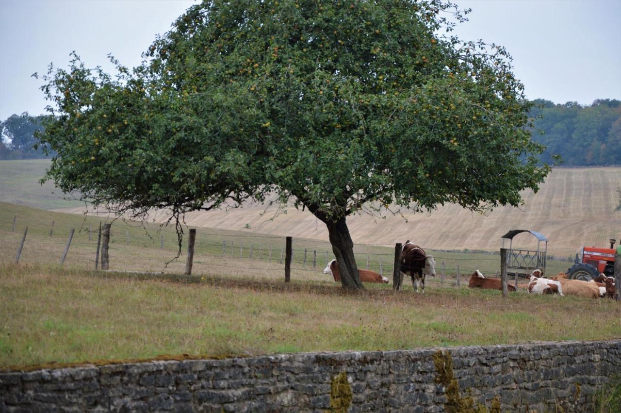 La Ferme Aux Glycines Hotel Aillevans ภายนอก รูปภาพ